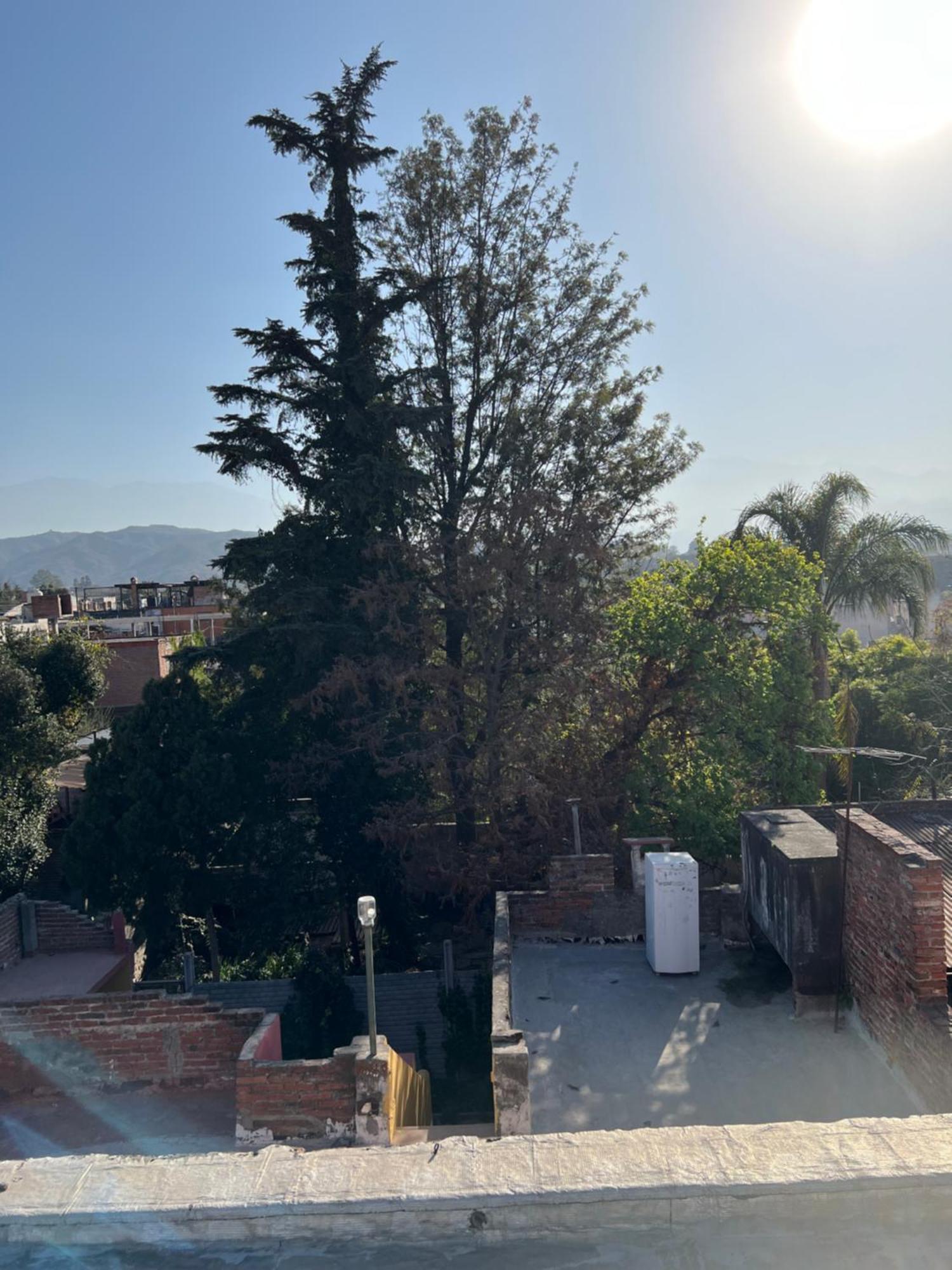 Cuyaya Hostel San Salvador de Jujuy Dış mekan fotoğraf