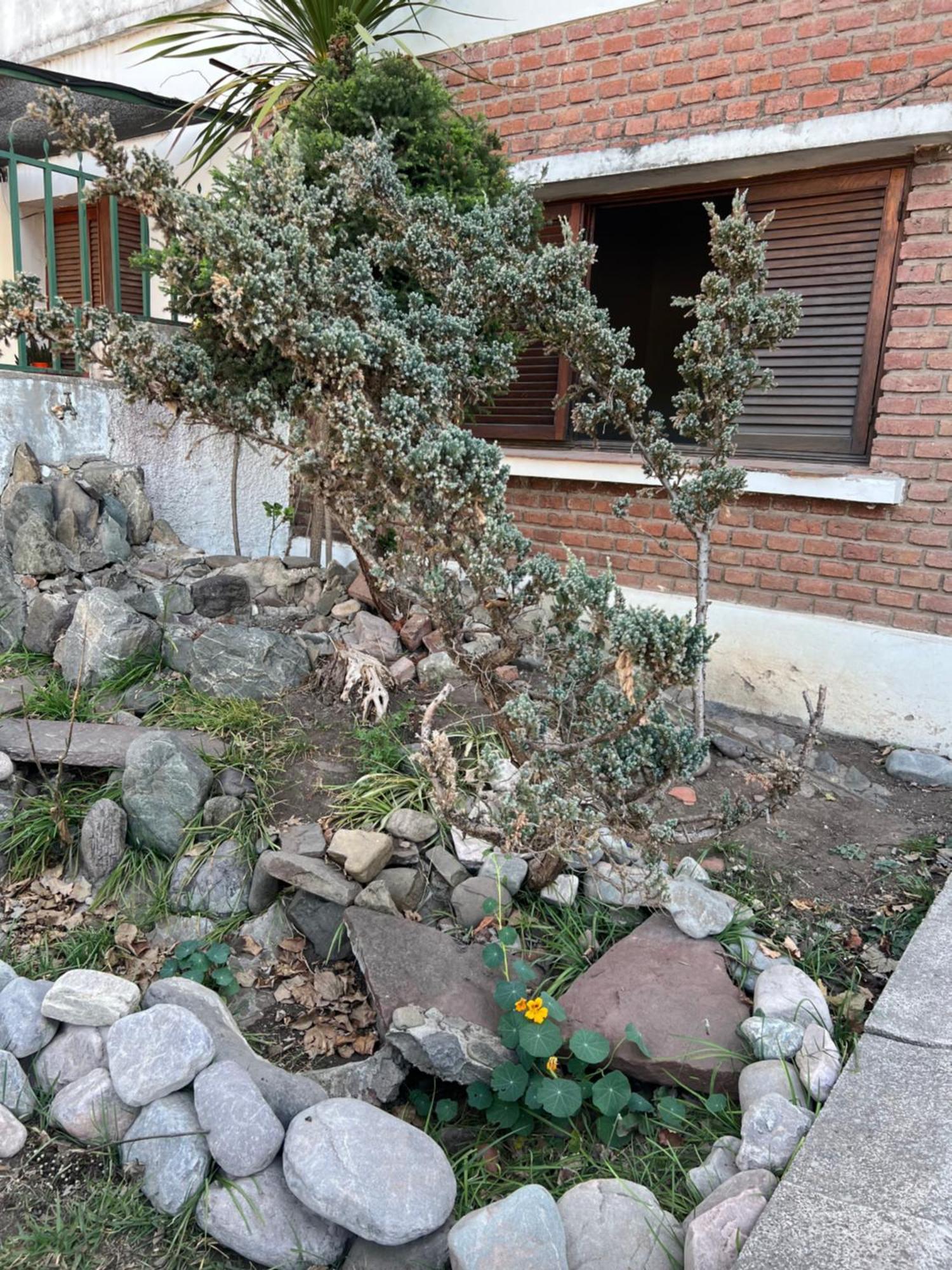 Cuyaya Hostel San Salvador de Jujuy Dış mekan fotoğraf